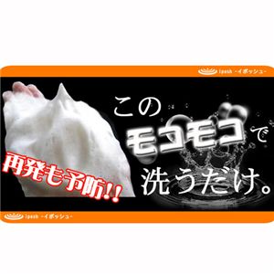 イポッシュ2個セット(泡立てネット付き)