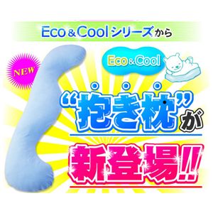 EcoCool 