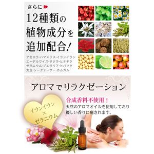 {fB}bT[WWF Zm[zbg^\WF[ 350g摜R