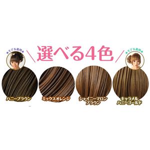MINTPOSHE（ミント・ポシェ） EXTENSION（エクステンション） ウィッグスターターセット 10点セット ハニーブラウン画像３