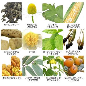 �X�}�[�g�n�[�u�e�B�[