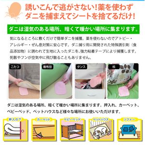 uȒP_jV[g10摜Q