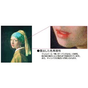 E̖V[YAōvn[h sG[EI[MXgEmA[ uMVтlX̒Hv摜Q