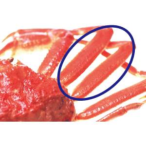 【数量限定】訳ありズワイガニ　カニしゃぶセット５００ｇ