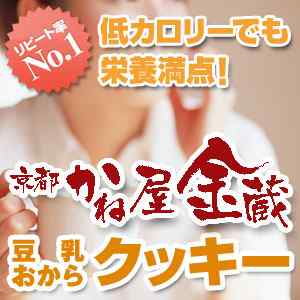 ���s�F���u���ˉ������v����������N�b�L�[�i�v���[���������������j