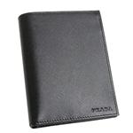 v_ M10A SAFFIANO 2IJ[hBK