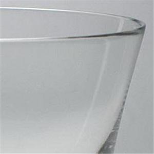 Baccarat （バカラ） アルファ タンブラー 2x2