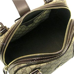 Gucci (Ob`) 203516 FN04G 9643 BT BE/DB