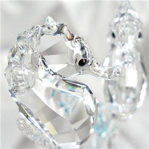 Swarovski (スワロフスキー) 885589 SEA HORSES フィギュア
