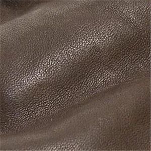 BOTKIER (�{�h�L�G) 68325 BIANCA SH BR