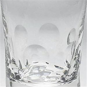 Baccarat （バカラ） ベルガ ハイボール (2pcsセット) 