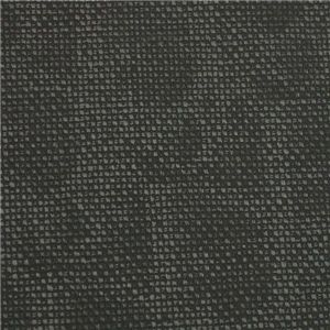 CHRISTIAN DIOR（クリスチャン ディオール） カードケース DLOC2730 ブラック