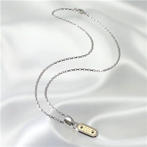 Dolce&Gabbana(ドルチェ&ガッバーナ) アクセサリー BJ0466 シルバー