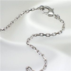 Dolce&Gabbana(ドルチェ&ガッバーナ) アクセサリー BJ0466 シルバー