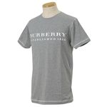 BURBERRY（バーバリー） メンズTシャツ ROOSE REG グレー 3