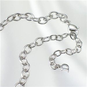 CHRISTIAN DIOR(クリスチャン ディオール) アクセサリー D22036 シルバー