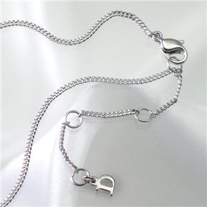 CHRISTIAN DIOR(クリスチャン ディオール) アクセサリー D22410 シルバー