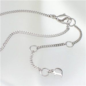 CHRISTIAN DIOR(クリスチャン ディオール) アクセサリー D22638 シルバー