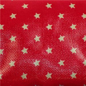 CATH KIDSTON(キャスキッドソン) 小銭入れ 253338 Clasp Purse NT