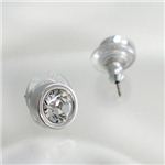 Swarovski（スワロフスキー） イヤリング/ピアス イヤリング/ピアス 1058473  