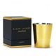 RalphLaurenit[j Lh 7300FK JAMAICA摜ŏP