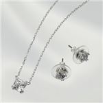 Swarovski（スワロフスキー） ペンダント/ピアス セット 5033022