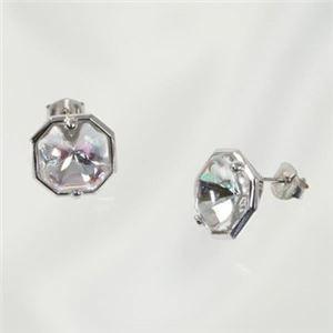 Baccarat（バカラ） ピアス 2611983