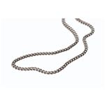 Phiten（ファイテン） チタンチェーンネックレス 50CM TC05