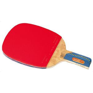 �o�^�t���C�iButterfly�j 10510 �r���[�o91 �y�싅���P�b�g�z�摜����1