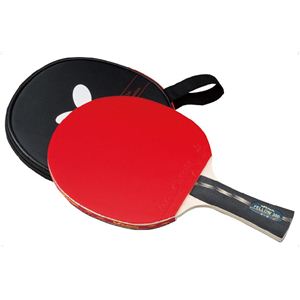 �o�^�t���C�iButterfly�j 16193 �t�F���[ 300 �y�싅���P�b�g�z�摜����1