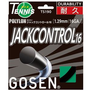 GOSEN（ゴーセン） ジャックコントロール16 TS190BK