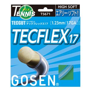 GOSEN（ゴーセン） テックガット テックフレックス17 アクア TS671AQ