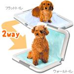 �y�y�b�g�p�z�{���r�@������g���[�@�c�[�E�F�C�j�̎q�p  �O���[�@�O���[�E�c�[�E�F�C