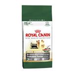 【ペット用】ロイヤルカナン ヨークシャーテリア 成犬用 28 500g