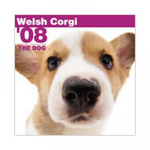 THE DOG 国内版 2008年 カレンダー ウェルシュ・コーギー