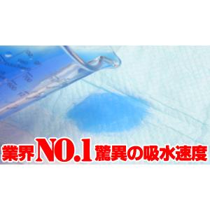 ��̳�ѥڥåȥ����ġ��쥮��顼����ࡡ������������RS-600