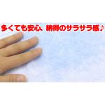 業務用ペットシーツ レギュラー 600枚入 RS-600