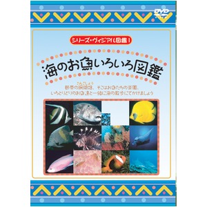 KIDSお魚博士DVD4本セット＋オマケ付！