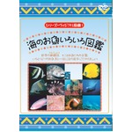 KIDSお魚博士DVD4本セット＋オマケ付！