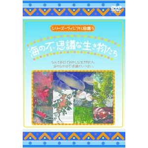 KIDSmDVD4{Zbg{I}PtI摜Q