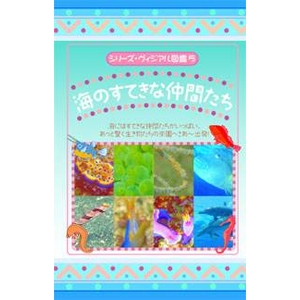 KIDSmDVD4{Zbg{I}PtI摜R