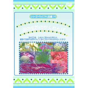 KIDSmDVD4{Zbg{I}PtI摜S