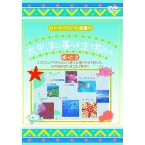 KIDSE̊CDVD4{Zbg{I}PtI摜Q