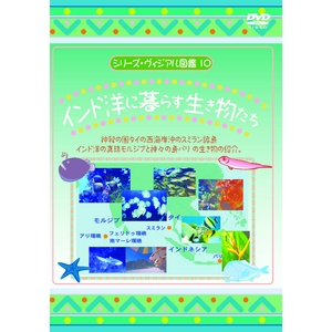 KIDSE̊CDVD4{Zbg{I}PtI摜R