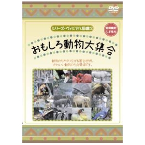 KIDSいろんな動物DVD4本セット＋オマケ付！