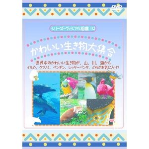 KIDSȓDVD4{Zbg{I}PtI摜R