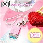 pqi 1GB sN