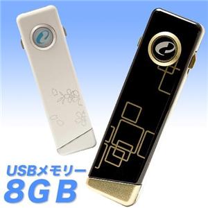 G USB[8GB zCg