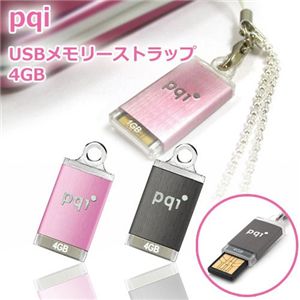 pqi USB[Xgbv 4GB BF07-4033(sN)