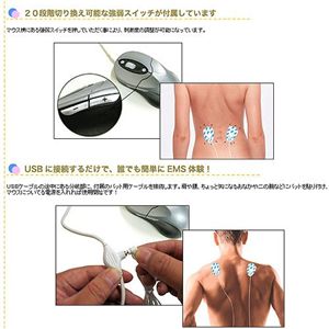 EMS内蔵 筋肉マウス